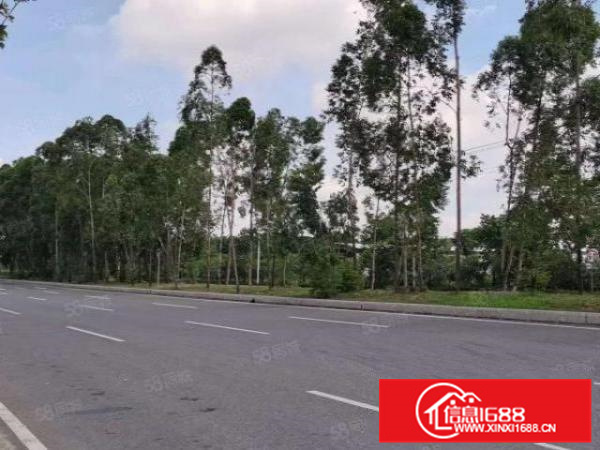 配电大，大沥颜峰厂房950方，层高8米，带污水处理，可办环评