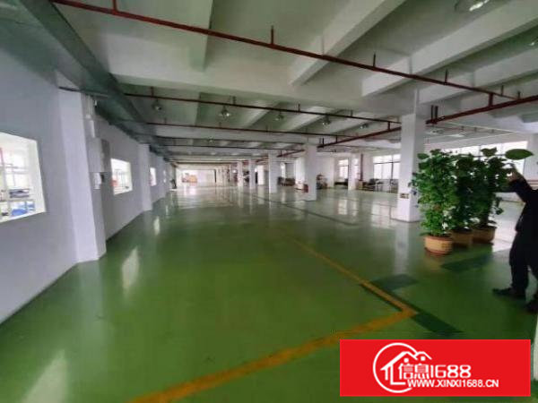 寮步带装修现成办公室