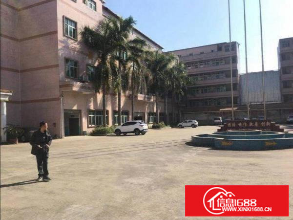 出租大朗镇高英标准一楼1600平方米，水电齐全，豪华办公室