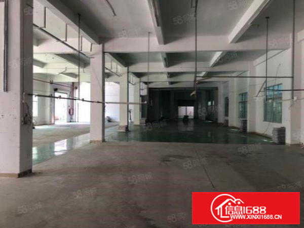 清溪三中新出原房东小独院3000平方带装修急租