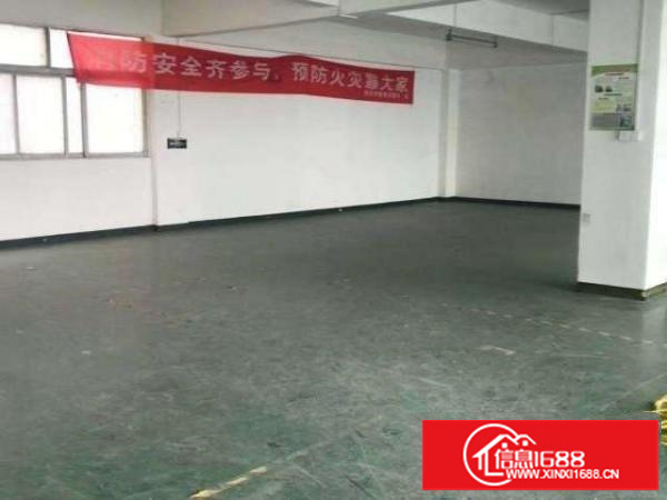 物业直租！个人免租金一个半月！西乡立交107国道天股旁