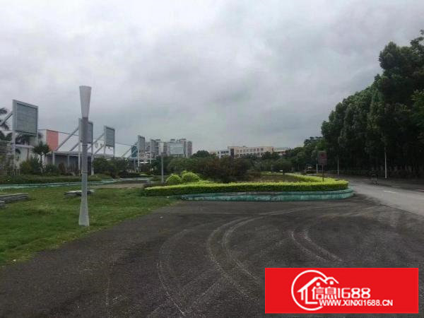 坪地原房东红本钢构厂房40000平米