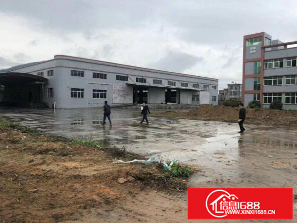 新圩长布钢构独院厂房出租7000平方