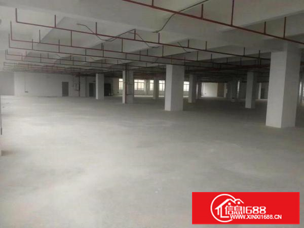 独门独院全新标准厂房23000平米