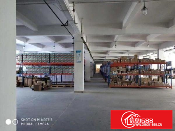 容桂新出标准700方，厂房形象漂亮，采光好，价格便宜