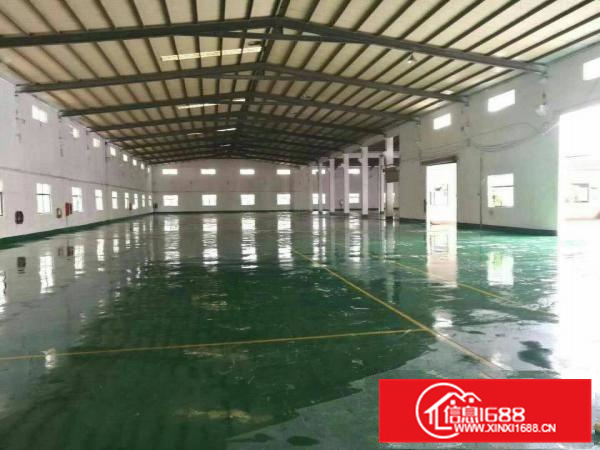 单一层7米钢结构6000平火爆招租