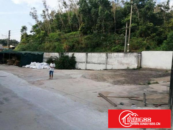 坪地年丰原房东独院钢构厂房1850平米，实际面积租18元