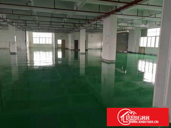 龙岗大小厂一楼厂房出租300.500.800.2000平