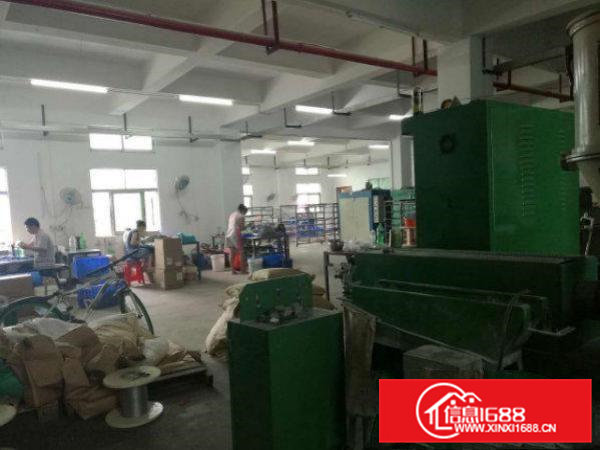 清溪浮岗楼上500平米带消防喷淋厂房出租水电齐全