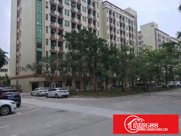 观澜高速口，原房东2楼1980平，无公摊，各类证件齐全