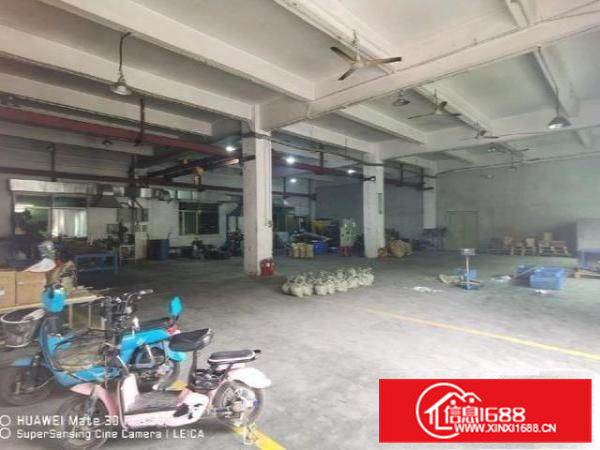 清溪新出原房东厂房一楼650平方出租