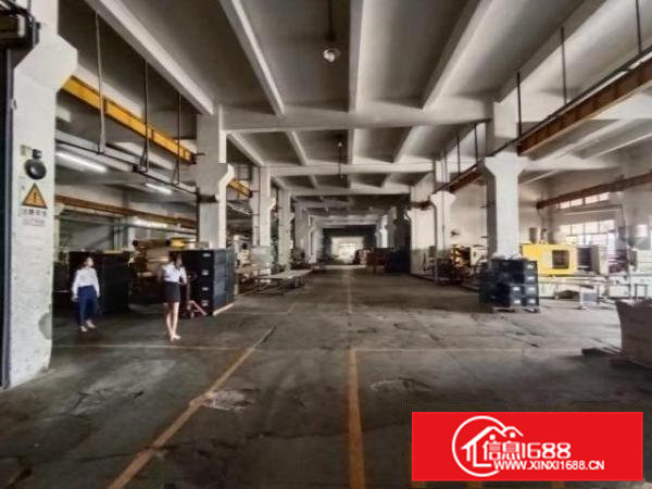 清溪大利银湖工业区独栋厂房一楼高6米，带现成5部行车免费使用