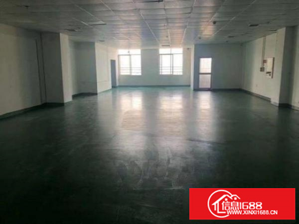 沙井107国道新桥高速路口芙蓉楼上790平精装修厂房出租