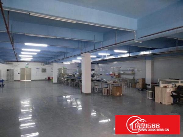 塘厦龙背岭工业区标准1楼1200平方！现成主线现成办公室装修