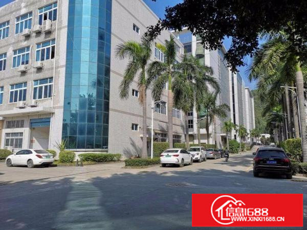 横岗永湖地铁口/业主直租/二楼2250平精装修/厂房出租