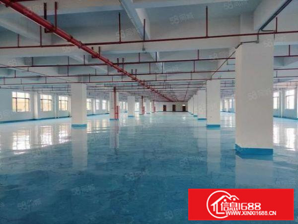 石排独院厂房分租二楼1200平，现成办公室现成地坪漆，空地大