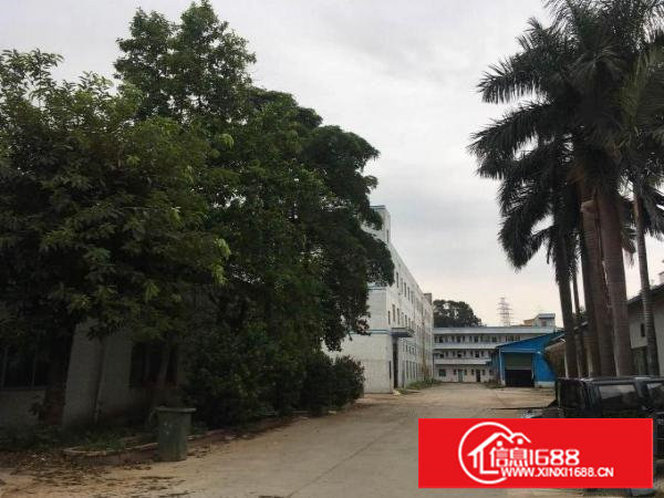 实拍！横塘独院厂房低至400平起任意分租！大至7000平整租