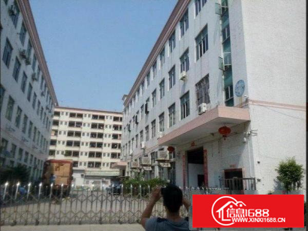 出租龙岗区坪地1楼2200平标准厂房