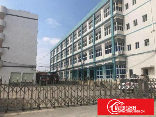 布吉南湾新出电商园5000平米大小面积分租带装修