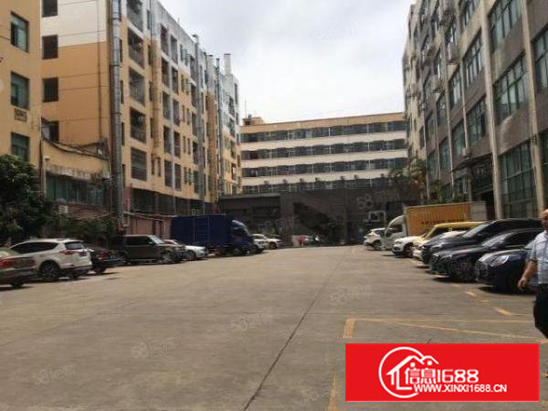 西乡大型工业园530平出租带精装修办公室