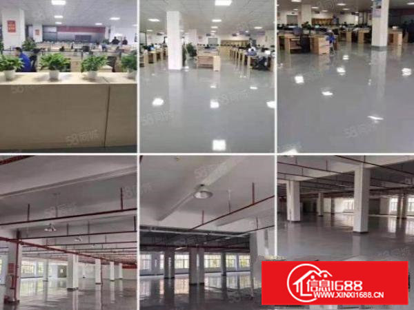 清溪新出高大上厂房，大小可分