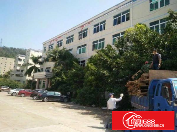 潼桥全新独院12000平标准厂房出租可做家私