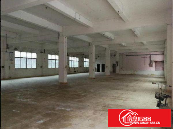 出租龙岗区龙东楼上1200平方楼上带消防喷淋厂房