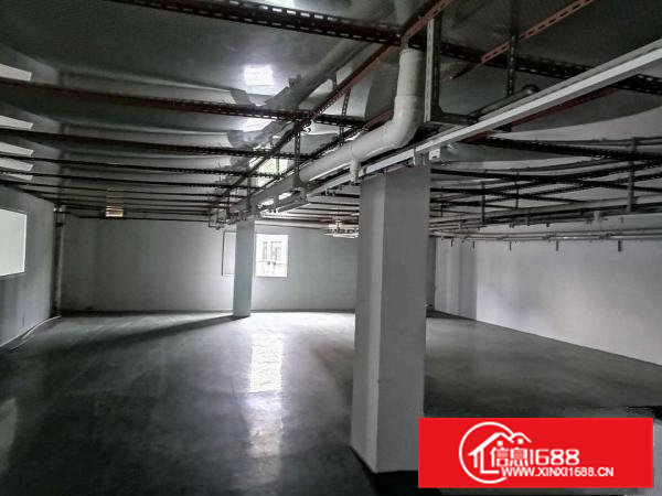 寮步霞边标准独院厂房分租500平方现成装修.