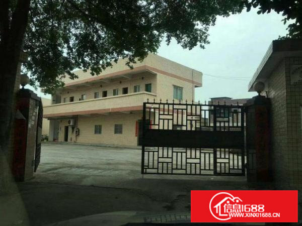 常黄路常平镇桥沥村高速路口附近厂房6000平米