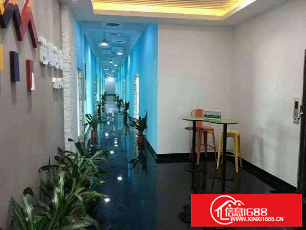 坂天天虹新出标准精装厂房700平出租