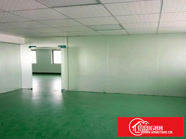 天鹅湖东莞常平环常北路北科产学厂房200平米