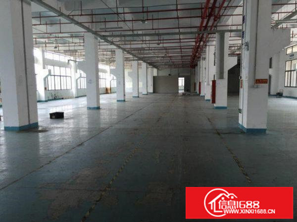 龙岗区华乐路工业区标准一楼厂房1300平方出租