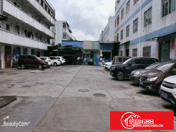 现成办公室！带地坪漆！空地超大！碧岭工业区新出一楼500平！