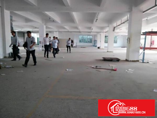 龙岗同乐新出3500平超大空地独院厂房出租