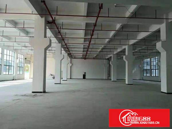 博罗罗阳全新大型自动氧化工业园共54000平方厂房出租