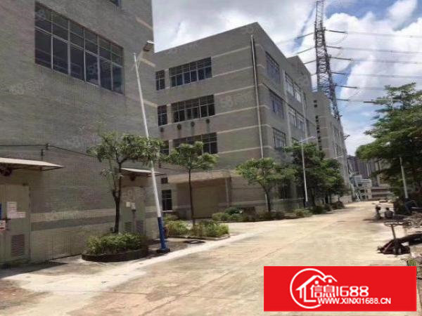 龙岗坪地低碳城18元厂房招租一楼1800m2二楼3600