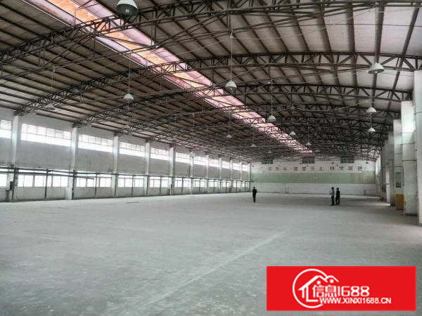 石排原房东独院6000平方米单一层钢构厂房急租