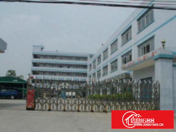 高埗标准一楼1000平方招租水电齐全配电按需消防办公及食堂