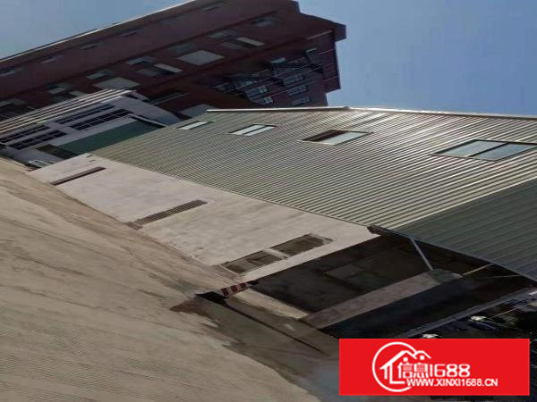 虎门9米高钢构2300平方原房东厂房出租啦！可办环评