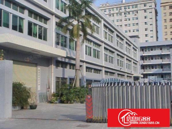 福永新出凤凰工业区1至3层4500平原房东出租