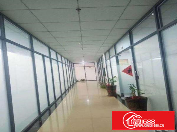 隔坑新空厂房楼上550平方精装修秒杀适合电子贸易