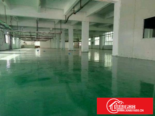 坪山碧岭工业园独院花园式村尾厂房4341平米招租