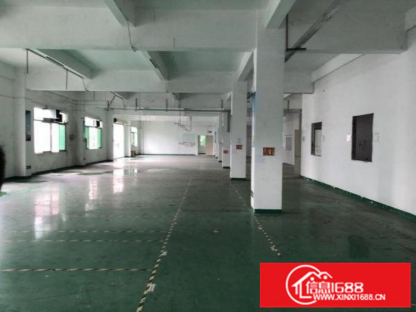 独门独院厂房加宿舍6000平方米