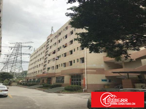 出租地铁口厂房3000-24000平自由组合可整栋出租