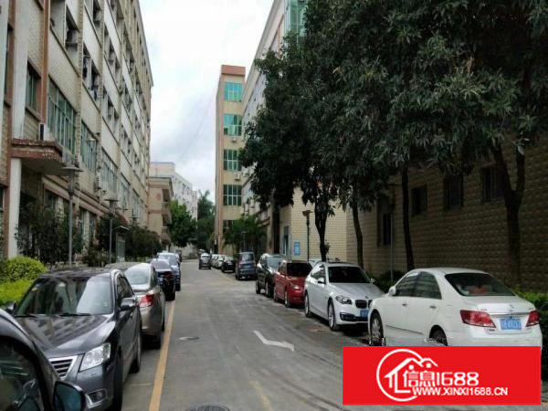 新出科技园厂房2楼1460平可申请高新补贴一手房东