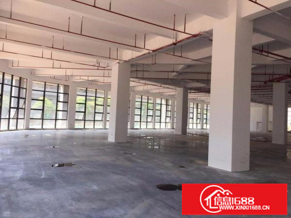 龙岗坪地高新厂区适合做电子LED生物研究医疗设备