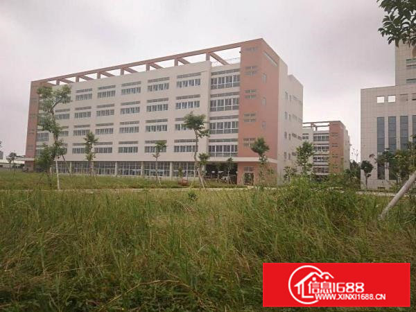 桥头镇岭头村标准二楼1000平方出租