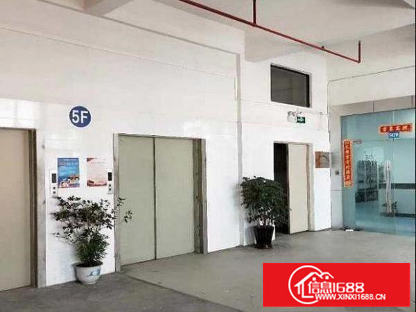 青皇业主直租带装修厂房三楼500平拎包入住