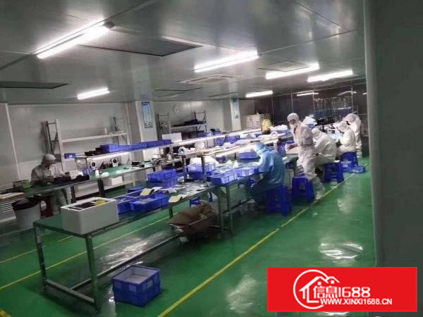 黄江镇北岸村工业园三楼带现成千级无尘车间1500平米火爆招租