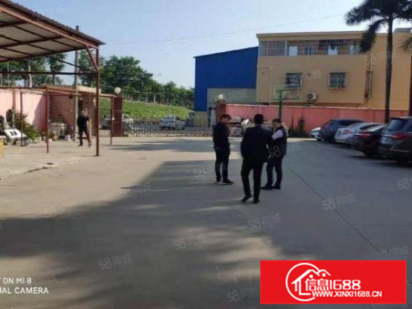 高埗镇新出独门独院单一层5500平方出租环城路外